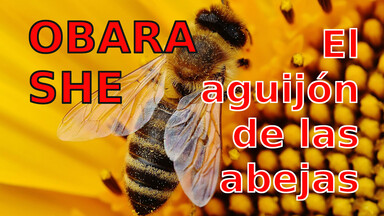 El aguijón de las abejas.