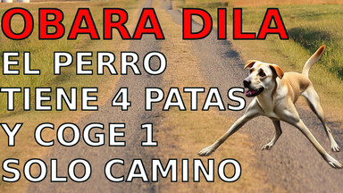 El perro tiene cuatro patas y coge un solo camino.