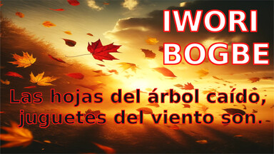 Iwori Bogbe: Las hojas del árbol caído, juguetes del viento son.